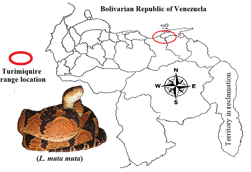 Geographical distribution of LMM