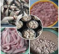 Venta de pinchagua curtida al por mayor y menor - Servicios - 1103275309