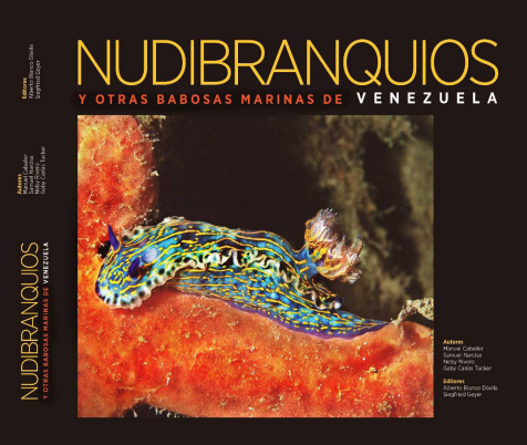 Imagen de portada